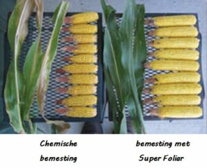 Bladbemesting-SuperFoliar-planten-300x243