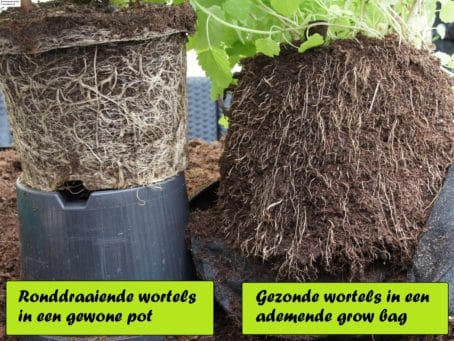 Grow-Bag-Special-voordelen-e1577994228322