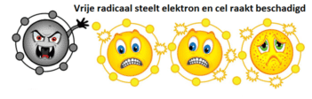 Vrije-radicaal-steelt-elektron-e1601303512896