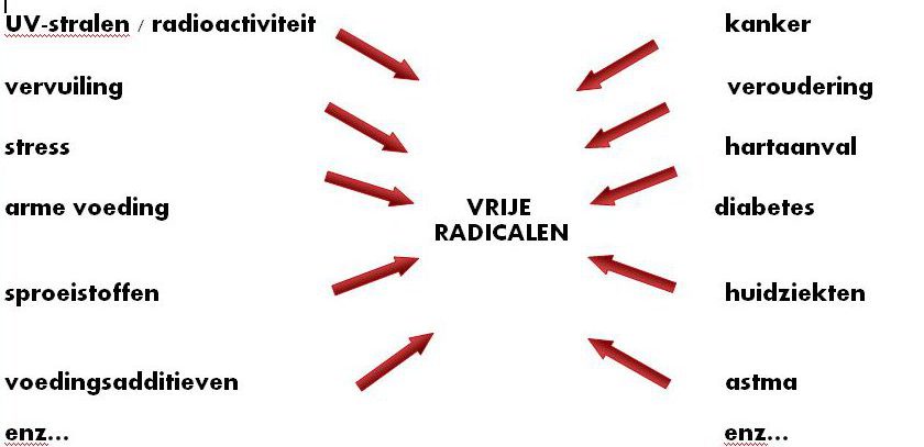 Zeoliet-sterkste-antioxidant-e1569921030546