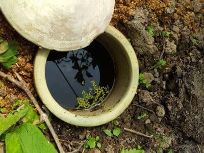 waterkruik3-scaled-e1591026398446