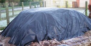 paardenmest-300x151