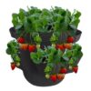 Aardbeien Grow Bag 40 liter (Ø38 x 30cm)