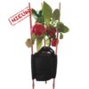 Tomaten Grow Bag 40 liter (Ø40 x 30cm)